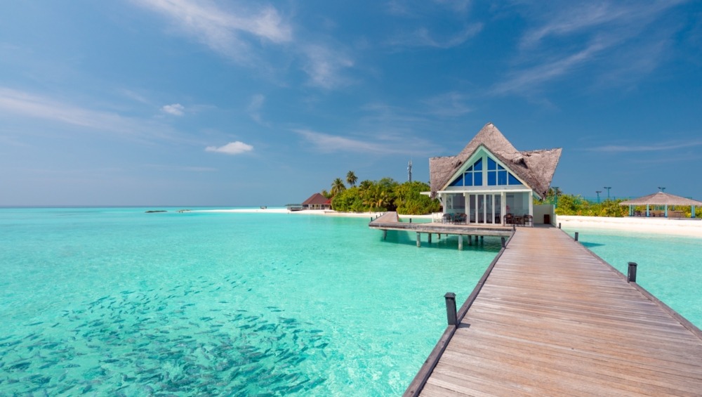 Dhigufaru Island Resort Maldives - Image 5